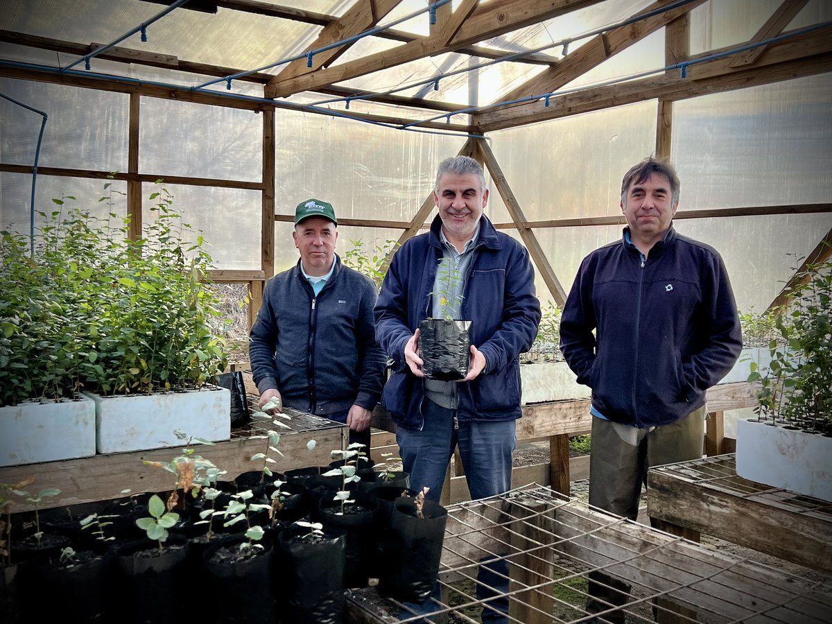 PatricioBarria7's tweet photo. 🌳 ¡El bosque es vida! Visité los huertos semilleros clonales y vivero Huillilemu de CONAF Los Ríos, donde el equipo realiza un intenso trabajo para mantener la producción de especies nativas que se distribuyen a la región https://t.co/MBTfCziTOb