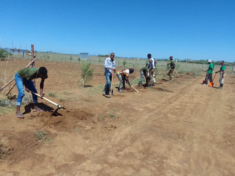 Karasinga3's tweet photo. Rumuruti team today in preparation for Mass tree planting at Dedan Kimathi Village in Thome Laikipia county

@evakimathi
@Dedankm
@KeEquityBank
@KeForestService
 @KenyaDefenceFor 
@boychildlove 
 @WanyekiJedidah @KeForestService @kenyarecyclers @Grimnien  
#10KTREES4DKIMATHI https://t.co/h16ceY9Wij