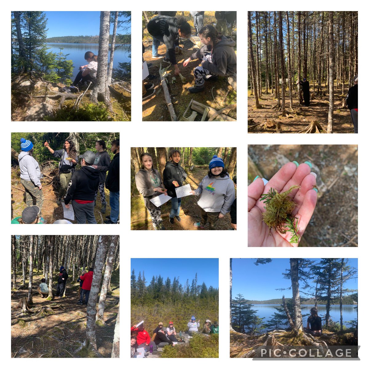 MsWardEPE's tweet photo. What a great way to start the week!!! EPE’s grade 6’s had an awesome two days learning at Echo Pond! @eastpointelem @echopond_centre https://t.co/H5dUPTUErj
