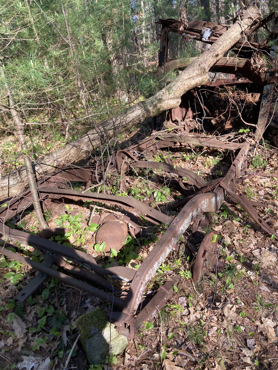 MassholeF's tweet photo. Found a #car out on my #hike today. #masshole https://t.co/OoSkEwD7tb