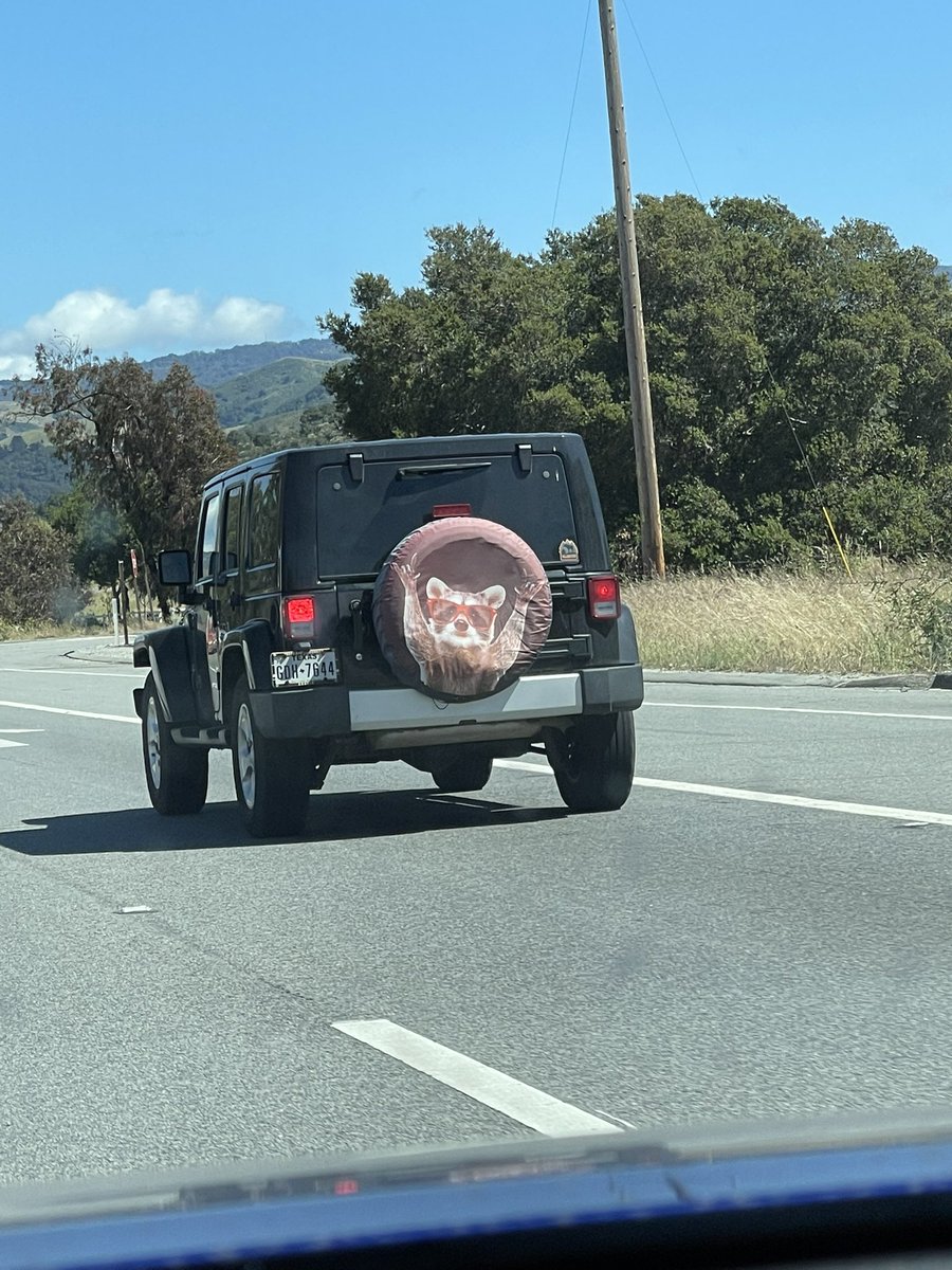 KCDeedle's tweet photo. @TheBloggess are you and Rory visiting California??? 😂 https://t.co/Nocgnc8Det