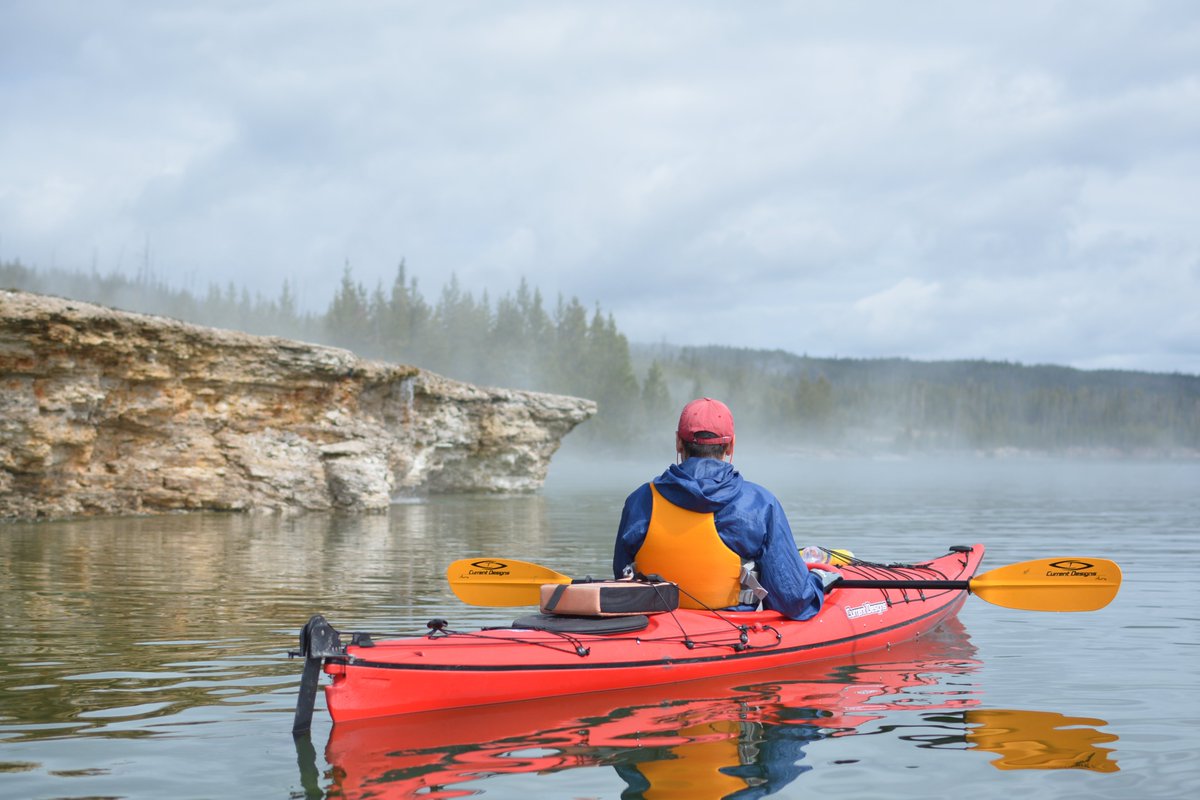 Occupation_Wild tweet media