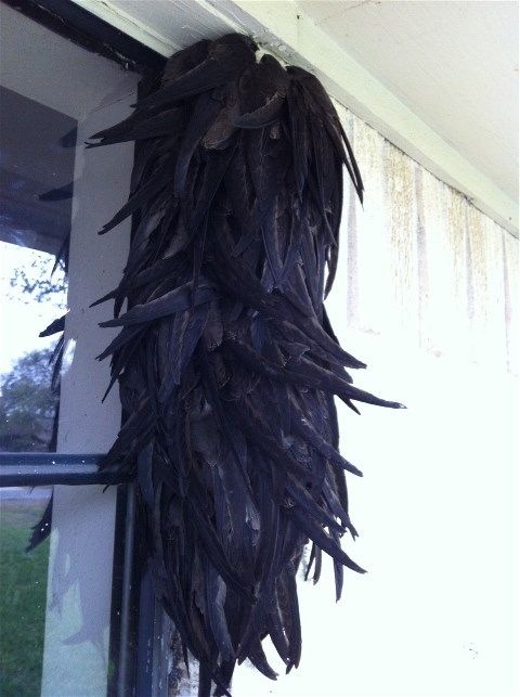 anthraXedamame's tweet photo. Whys there a biblically accurate angel on my porch https://t.co/7yz2WyroN5
