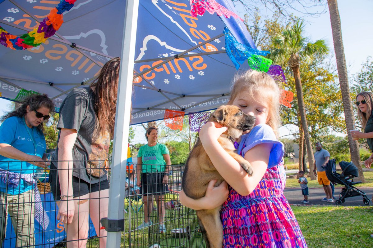 McNayArt's tweet photo. The last #SecondThursday of spring is here! 🍺🎨🐶🎵🌮

May 12, 6-9 PM | Enjoy live music by Madelyn Victoria, food trucks, La Gloria margaritas, art activities, puppy adoptions by @SNIPSA1, and more. Cool off in the galleries with free general Museum admission from 4 to 9 PM. https://t.co/ZRmk9ze3Vu