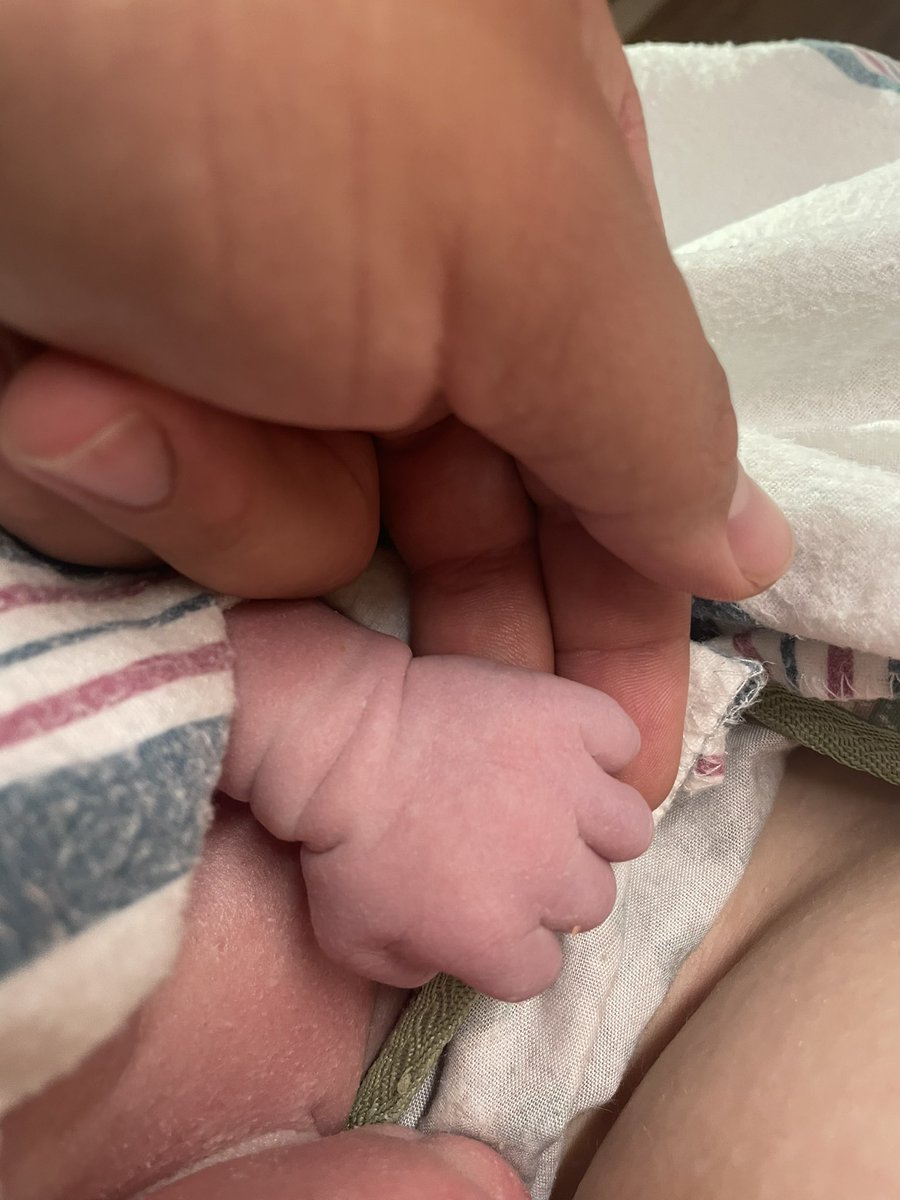 CoachBobbyOrtiz's tweet photo. Elliott Jay Ortiz
7lbs 4oz
5/9/2022

Welcome to the big wide world, little buddy 💙 https://t.co/df9WGQEHf8