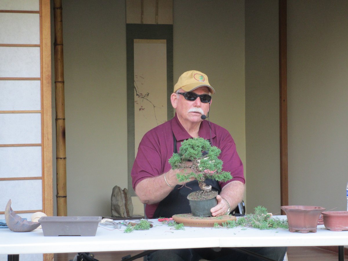 ExploreVGardens's tweet photo. @clarkbonsaicollection's very own Bob giving a demonstration for #NationalPublicGardenWeek. 🌳

We are thankful to have such a knowledgeable person who is interested in sharing his wisdom with others. Stop by this week (10-4 pm) to see the thematic bonsai displays! https://t.co/Eqf2veGxFg