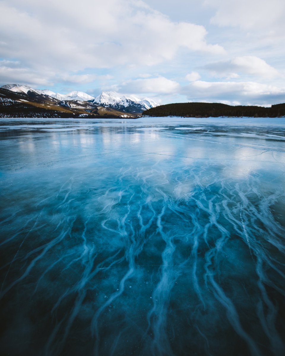 jubbishjay's tweet photo. Veins of ice 🧊 https://t.co/eUBsH5Bzl3