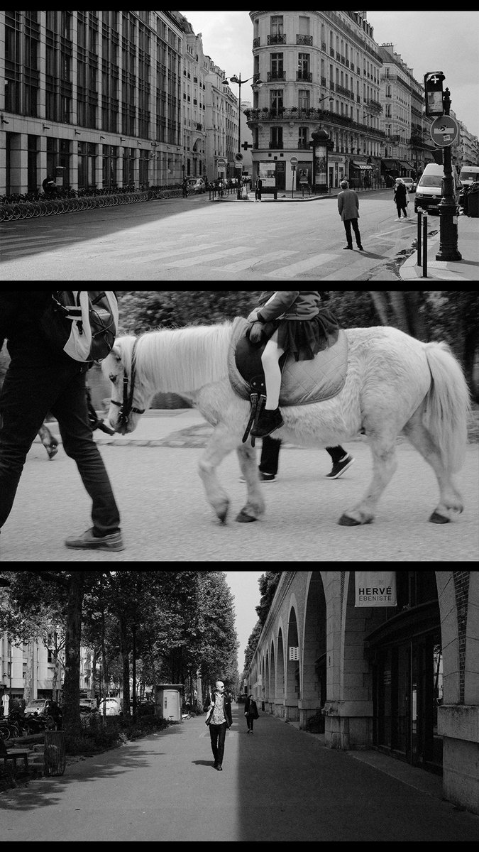 allisonseto's tweet photo. scenes from paris https://t.co/zKka9FDjiq