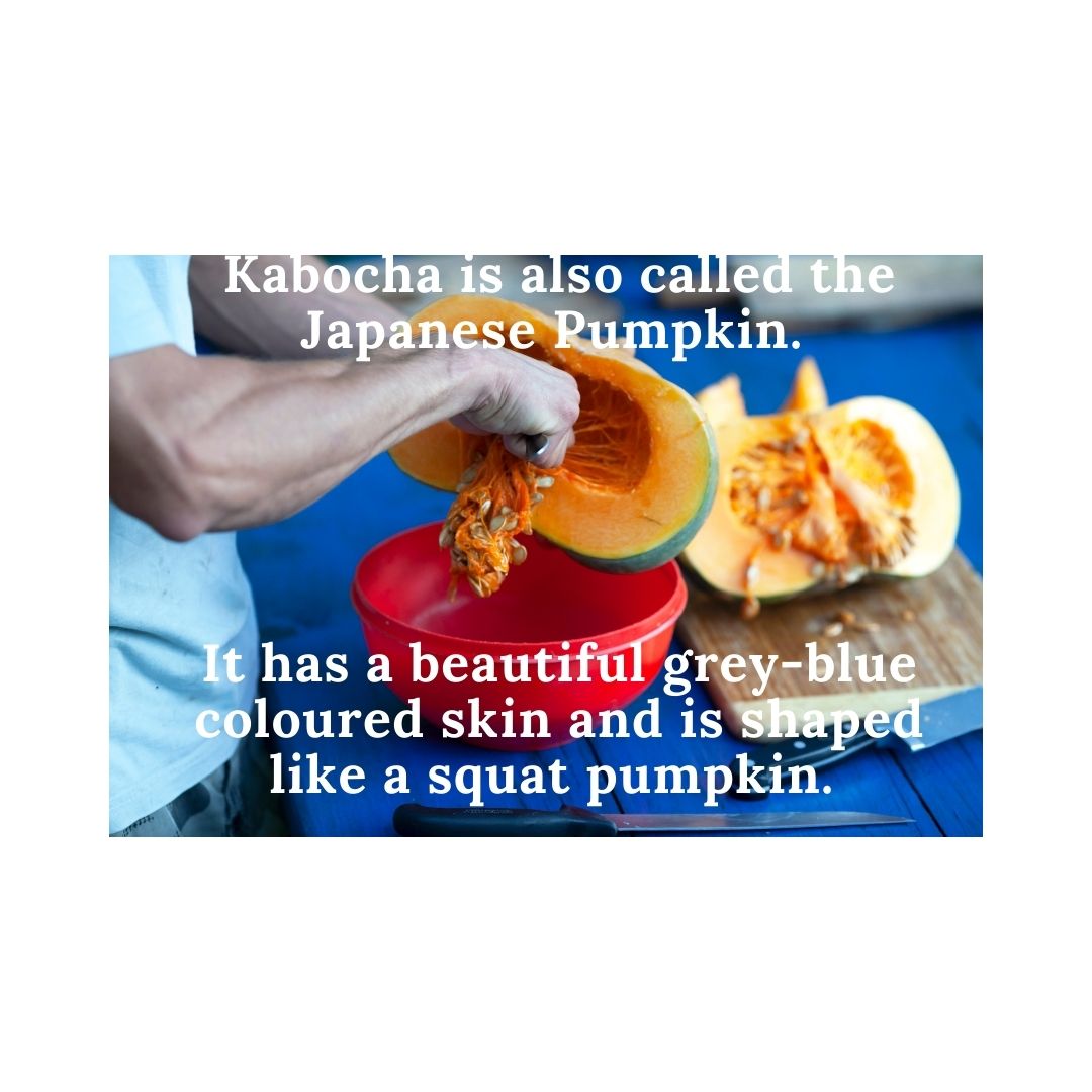 Give slices of roasted squash a little spring wake-up, by roasting with with maple syrup, olive or sunflower oil, fresh grated ginger, and thyme. Make ahead and served at room temperature. Organic Mexican grown squash on sale for $1.95/lb or $4.29/kg.