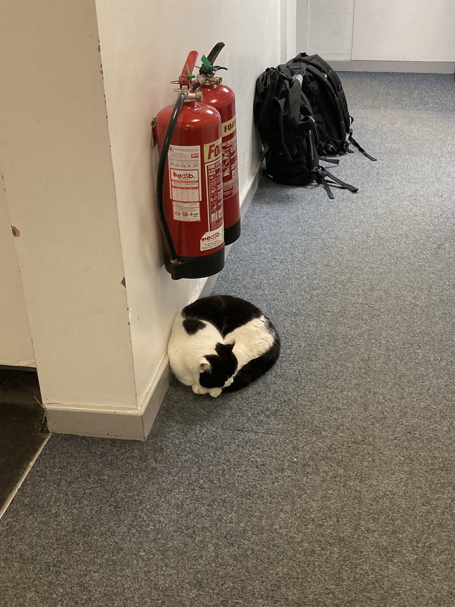 stationmoggy's tweet photo. Thatโs the late shift done for Team3 NPT..๐ฎโโ๏ธ๐ฎ๐ป๐ฎโโ๏ธ๐ฎ๐ป
Time for a snooze another busy night for us ๐ด this looks a good place๐๐ปkit bags ready for the night shift ๐ผ๐ฎโโ๏ธ๐ฎ๐ปevening All๐โโฌ๐พ๐พ
#CatsOfTwitter
#Asyouwere https://t.co/ic6gEl7ixs