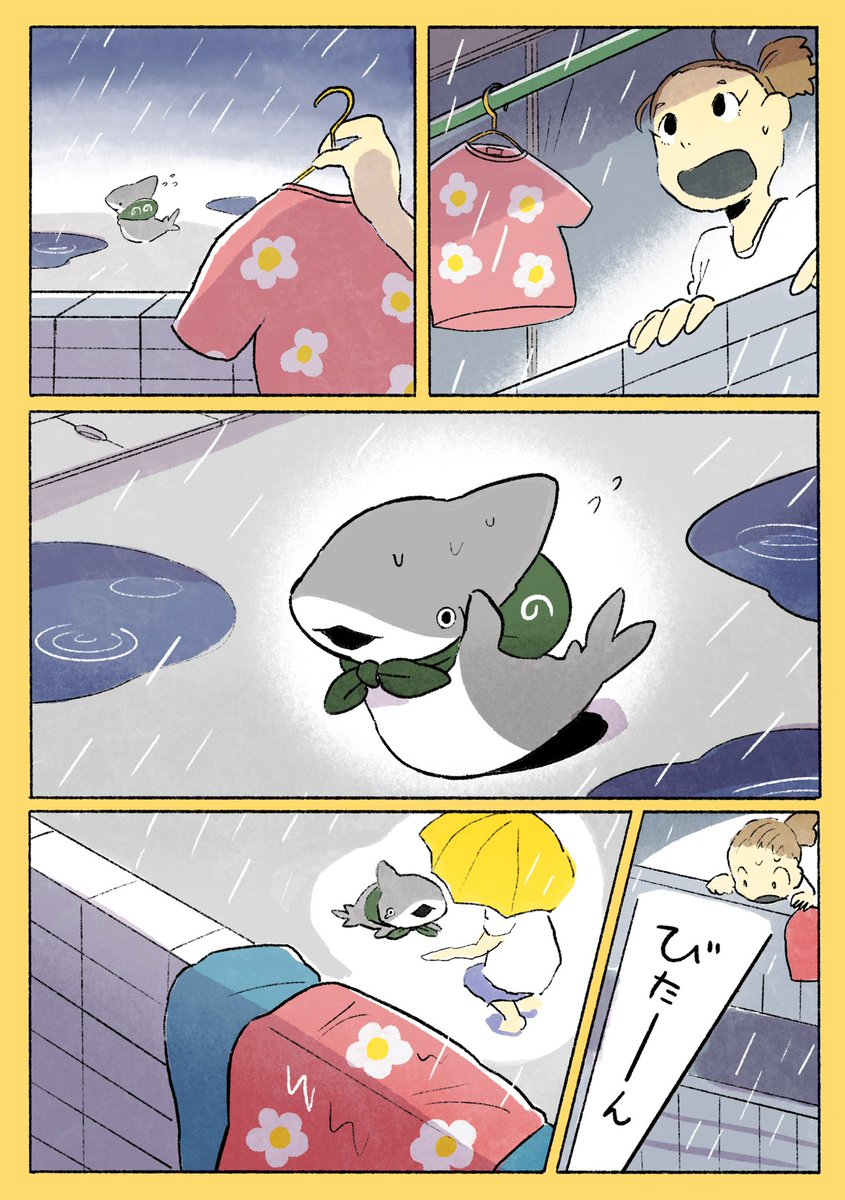 とかいの子ザメ 大雨 