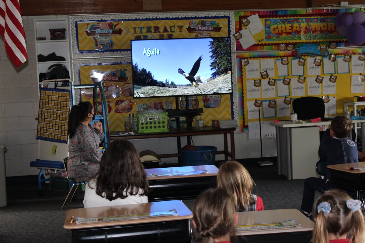 During #SVSpanishClass Week our second grade students are enjoying songs and learning about North American animals in their current Spanish unit. Thank you Senora Anderson for making learning Spanish fun!