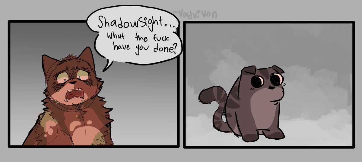 vadsbian's tweet photo. puddleshine and shadowsight https://t.co/EHrXFHS7vf
