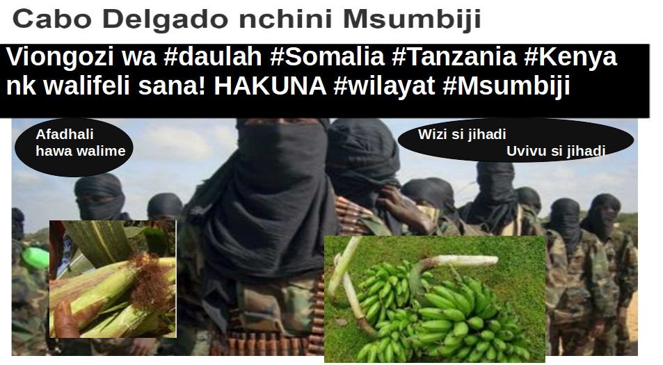 ZaraKamali's tweet photo. 1)❌HAKUNA #wilayat #Msumbiji wala popote #Afrika Mashariki
Yaani viongozi wa dola la kiislamu lililofeli sasa wanadai eti Msumbiji cjui nn
🅾️Hakuna jipya. Mshafeli, mshajulikana hata vijana wanawaita hao viongozi wahuni!
#Tanzania #Zanzibar #daressalaam #dodoma #Kenya #nairobi https://t.co/HjmuOAgt5H