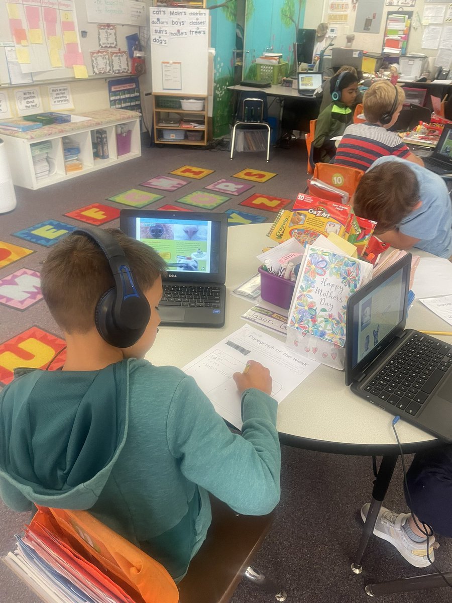 Lesley Gammel tweet media