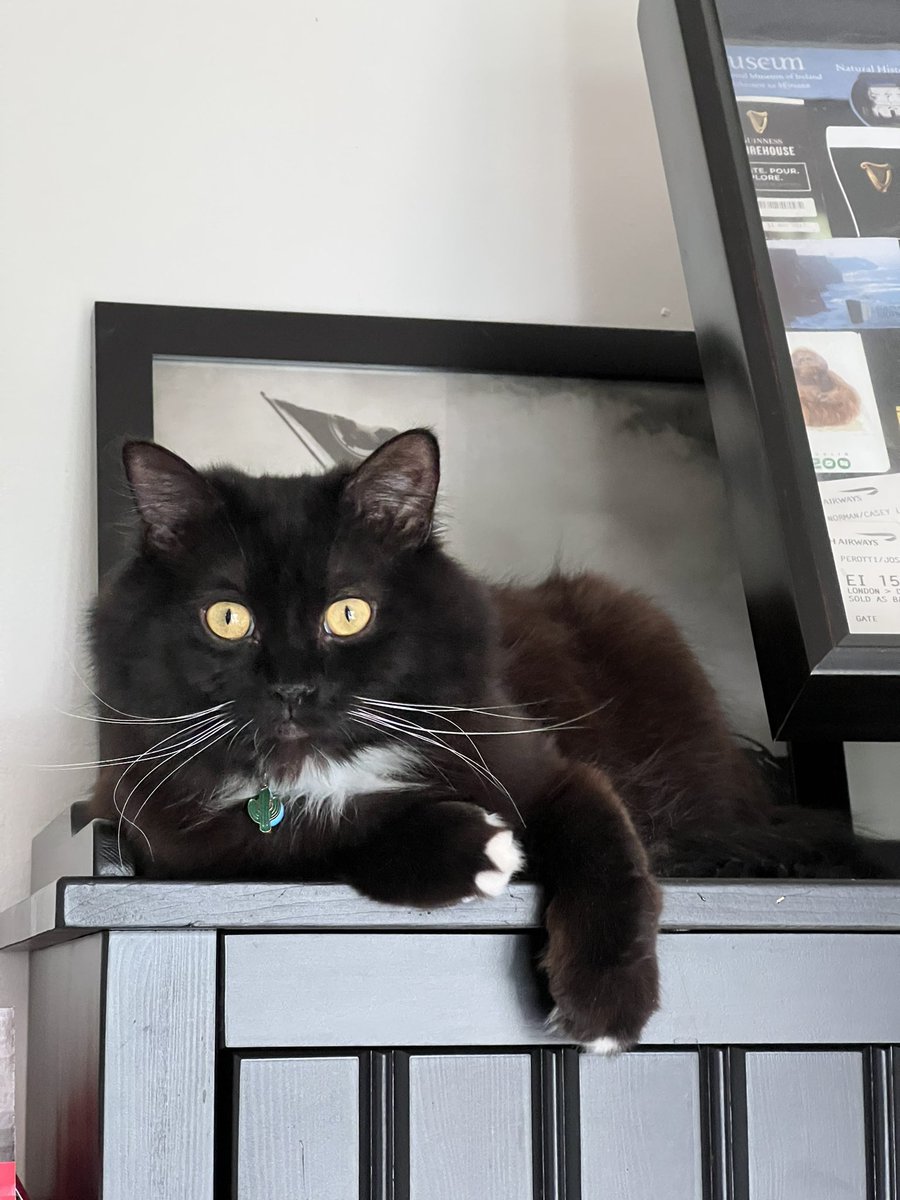 <a href="/relicofthepast/">Relic of the Past Podcast</a> <a href="/PenanceRPG/">Penance RPG 🐉 🏳️‍🌈 🐀</a> <a href="/WebWitch81000/">👾 Nearly Blind Nut is Back?! 😹</a> <a href="/StackODice/">Stack 🌻 Dice</a> <a href="/MaraudersHub/">Marauders' Missions</a> <a href="/AnitaBridges2/">Anita Bridges</a> <a href="/xb0shi3x/">Brandalf the Blonde</a> <a href="/tykashow/">🐋</a> <a href="/DeGustafson/">Derek Gustafson (he/him) is Catface Games</a> @lionsoflegend <a href="/pwp_dnd/">🪄Power Word: Play🔥</a> <a href="/adora_belleD/">🇬🇧🇳🇿</a> <a href="/Stories_bySarah/">Sarah Danielle</a> <a href="/NSFWActualPlay/">Not Safe For Wizards</a> @DangerDames @TheDice_Casters <a href="/brainytherpgcat/">Brainy The RPG Cat</a>