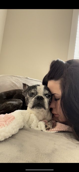 I woke up yesterday and he was gone. I knew it was the last time Id see him before I went to bed. He