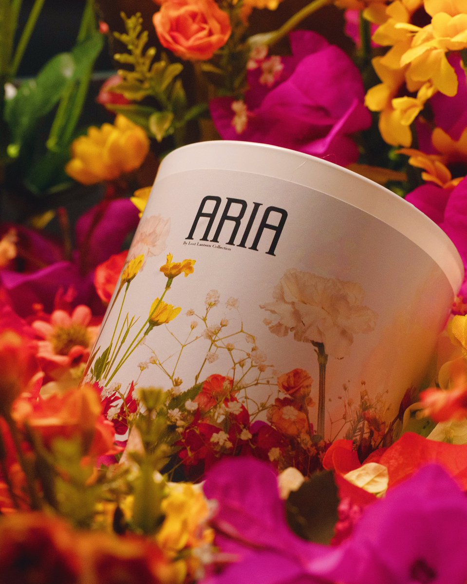 Lost Lantern tweet media