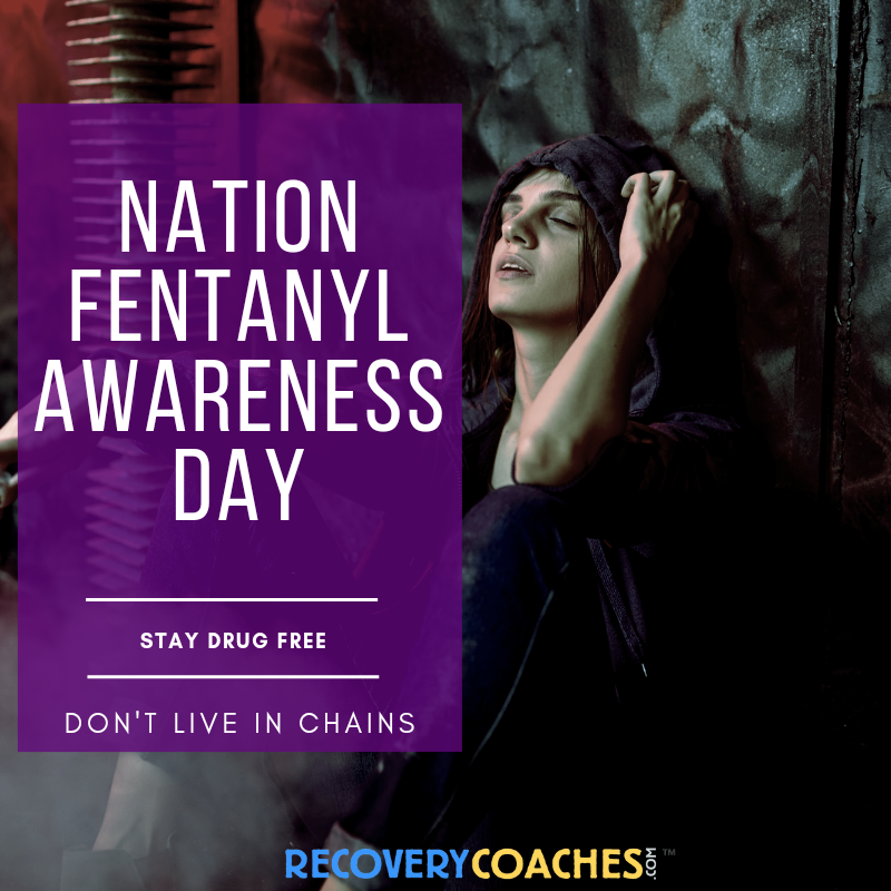 Soberverse's tweet image. Drop A 💜 In Support Of #NationalFentanylAwarenessDay
RecoveryCoaches.com
#opioid #drugmisuse #prevention #justKNOW #fentanyl #overdose #death #crisis #drugs #treatment #naloxone  #opioidoverdose #help #RecoveryPosse   #recovery #addiction #recoverycoach