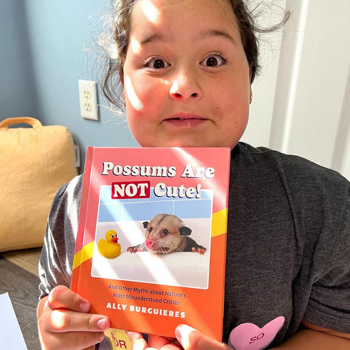 Dreamreaderkids's tweet photo. Happy Book Birthday to Possums Are Not Cute!!! @quirkbooks #BookBirthday https://t.co/WV4KCD1zCq