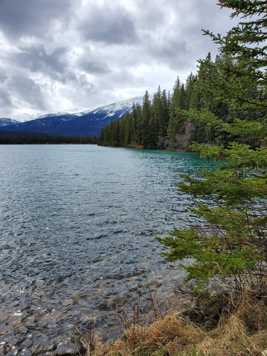 Christine Fulkerth tweet media