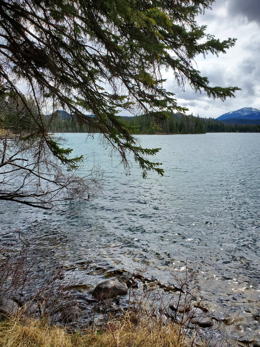 Christine Fulkerth tweet media