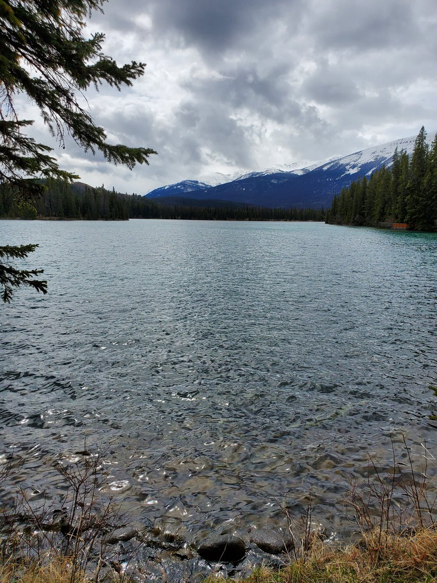 Christine Fulkerth tweet media