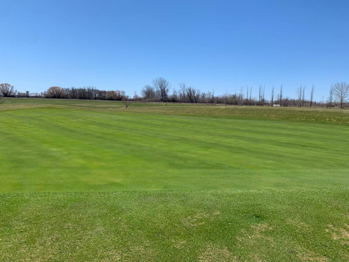 Scotswood Links tweet media