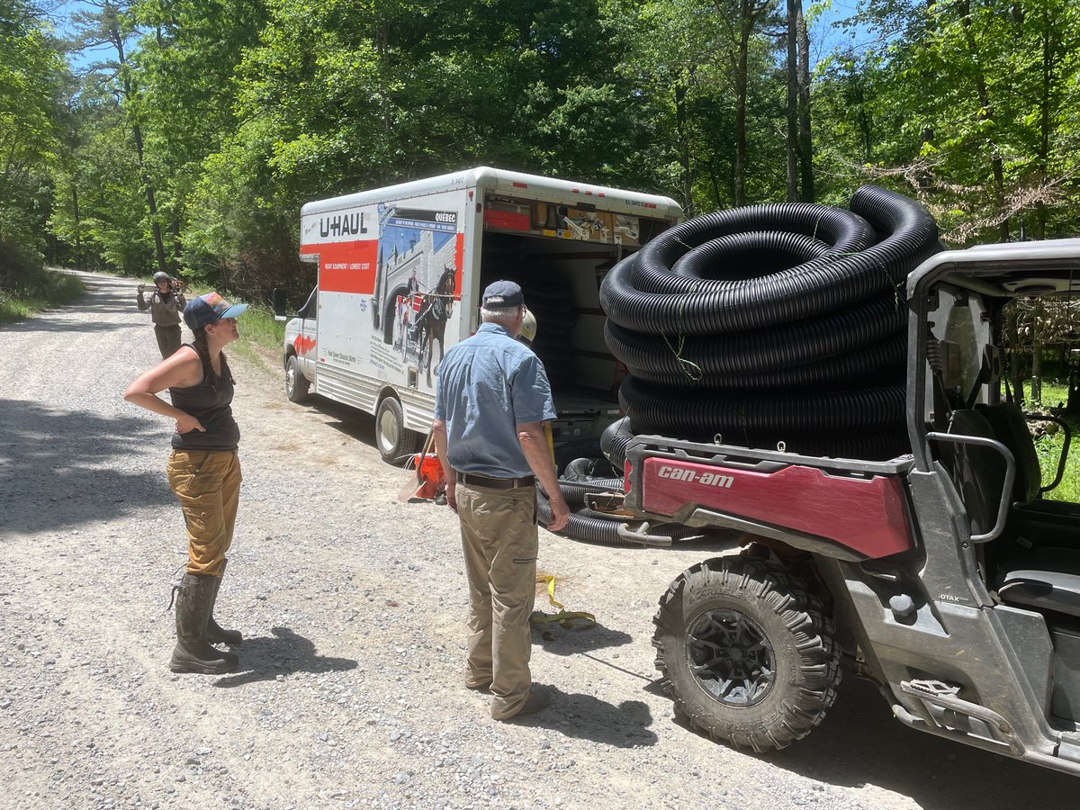 CarlaLAtkinson's tweet photo. Busy day out in the Talladega with the Forest Service and #benstead for #AIMS to start putting in infrastructure for our stream drydown experiment! @UaDeptBSC @AlabamaWater #RollTide https://t.co/sDSMrAY4Ve