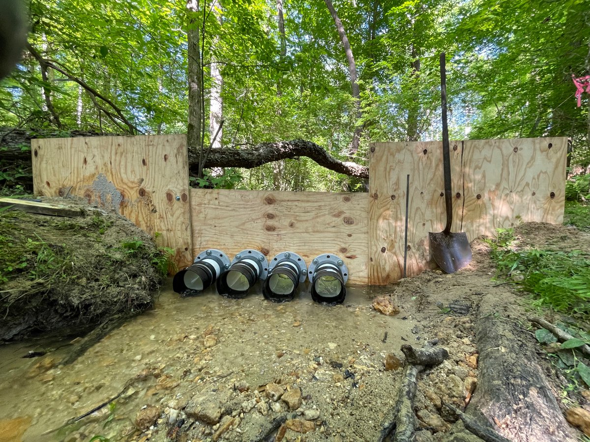 CarlaLAtkinson's tweet photo. Busy day out in the Talladega with the Forest Service and #benstead for #AIMS to start putting in infrastructure for our stream drydown experiment! @UaDeptBSC @AlabamaWater #RollTide https://t.co/sDSMrAY4Ve