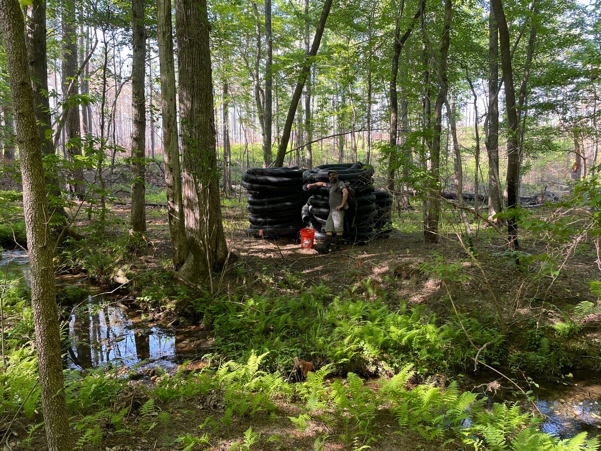 CarlaLAtkinson's tweet photo. Busy day out in the Talladega with the Forest Service and #benstead for #AIMS to start putting in infrastructure for our stream drydown experiment! @UaDeptBSC @AlabamaWater #RollTide https://t.co/sDSMrAY4Ve