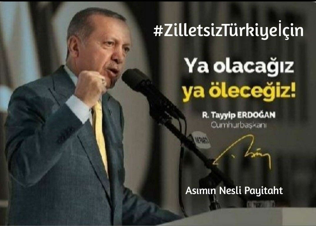 #ZilletsizTürkiyeİçin seninleyiz Reis.