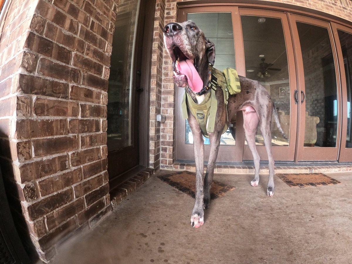 J.D. Williams tweet media