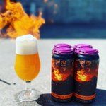 Photo by Southern Prohibition (@soprobrewco)