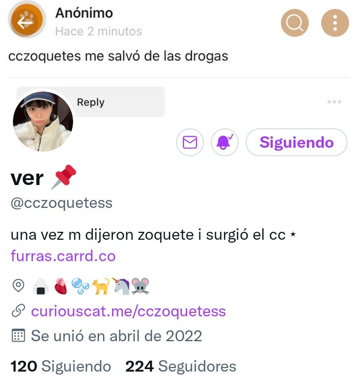 cc_bangtanista's tweet photo. Fav y Rt porfa... Yo solo quiero Spotify y canva les doy lo demás 💜🥹 https://t.co/2IphGq234j