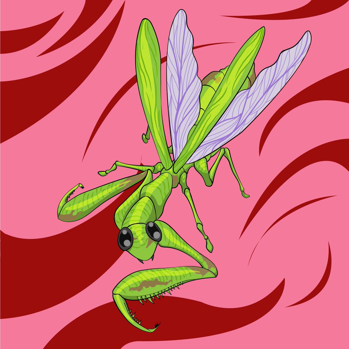 insect4every1's tweet photo. @albin454 https://t.co/9Y6d1bo0Lf