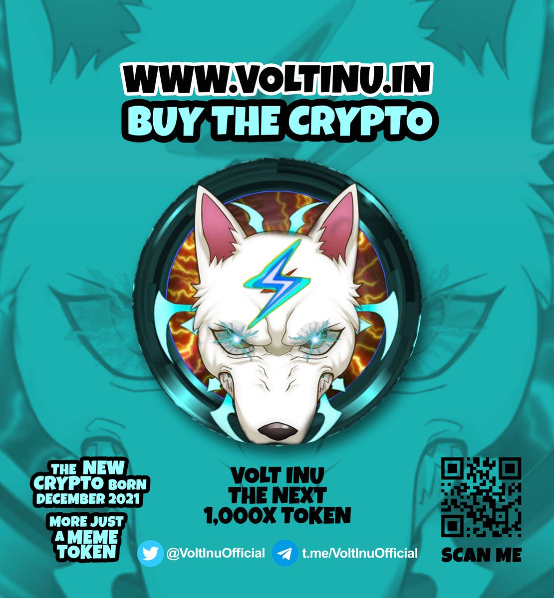DJZeusman's tweet photo. VOLT INU in Vegas now! #voltinu  #volttequila #VOLTARMY #tier1soon  @VoltInuOfficial  @Yourpop8 @austinahilton @zachhumphries https://t.co/Sk2uTtkikG