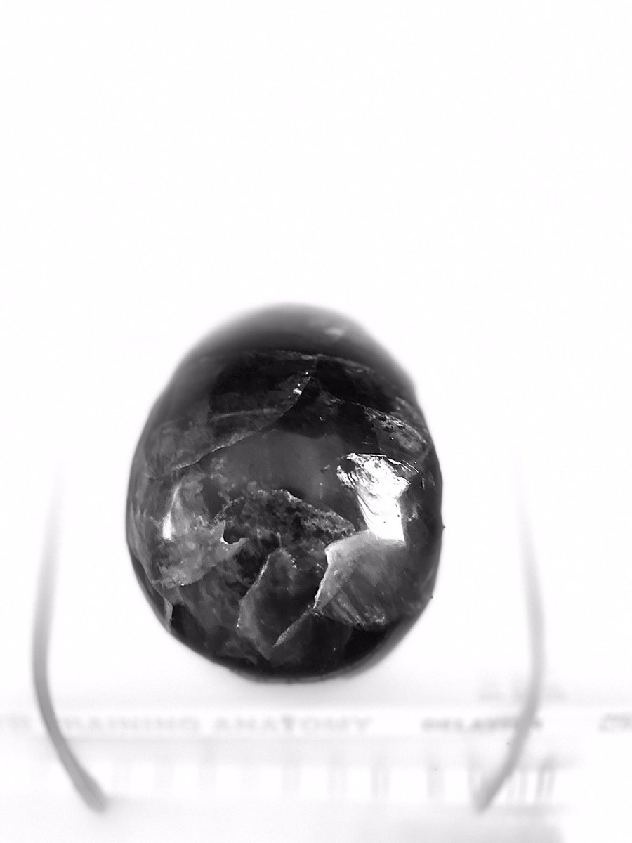 MediaFishFood's tweet image. 