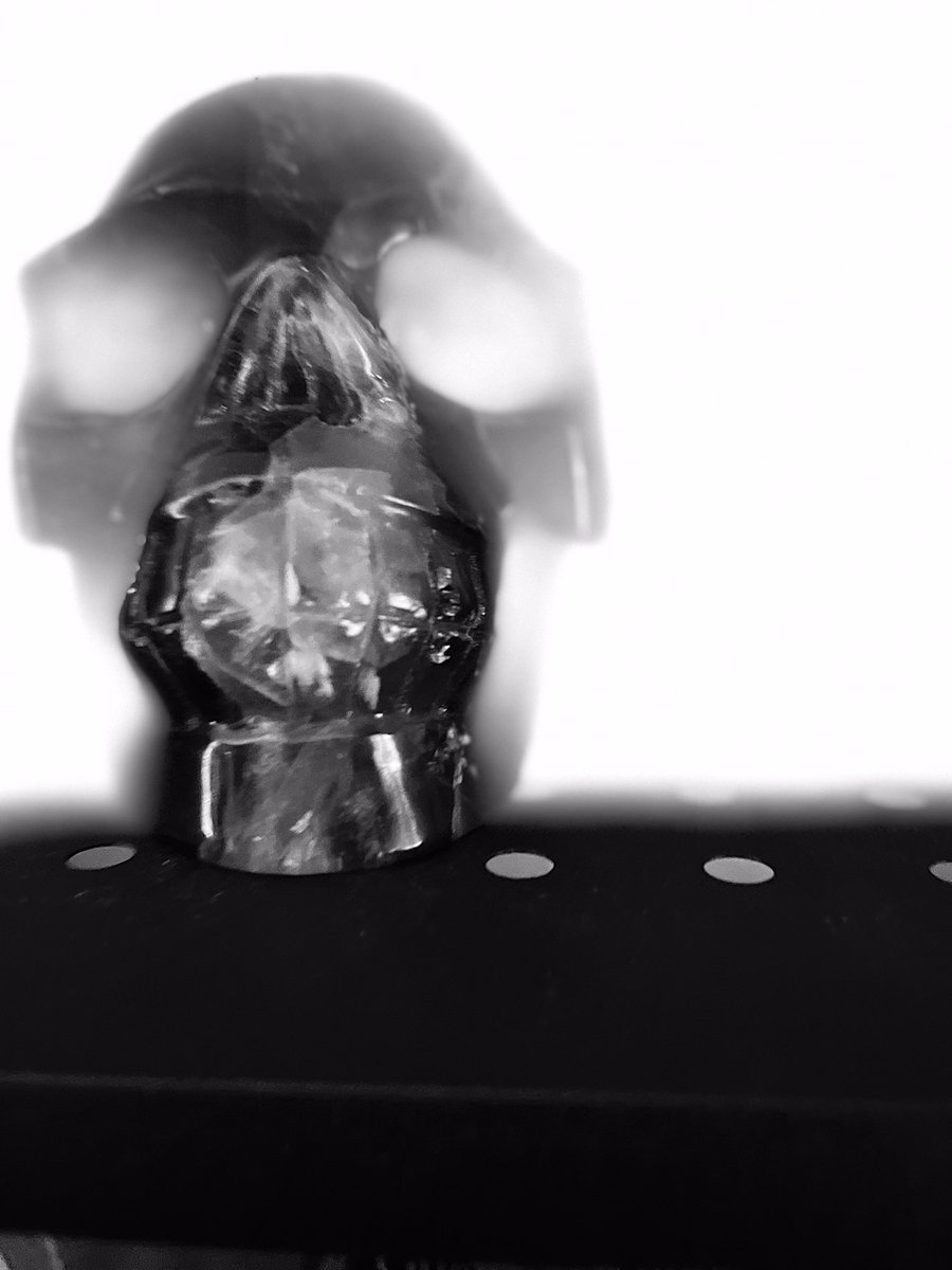 MediaFishFood's tweet image. 