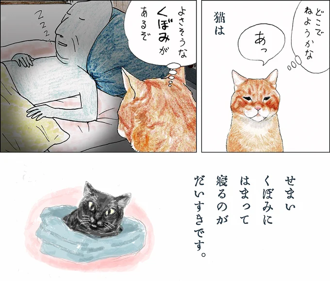 や、どうも。
↓ちゃーがひるねするばしょをさがしているけど、
それまでなにしてたかっていうと、
ひるねしてたんだよ。 