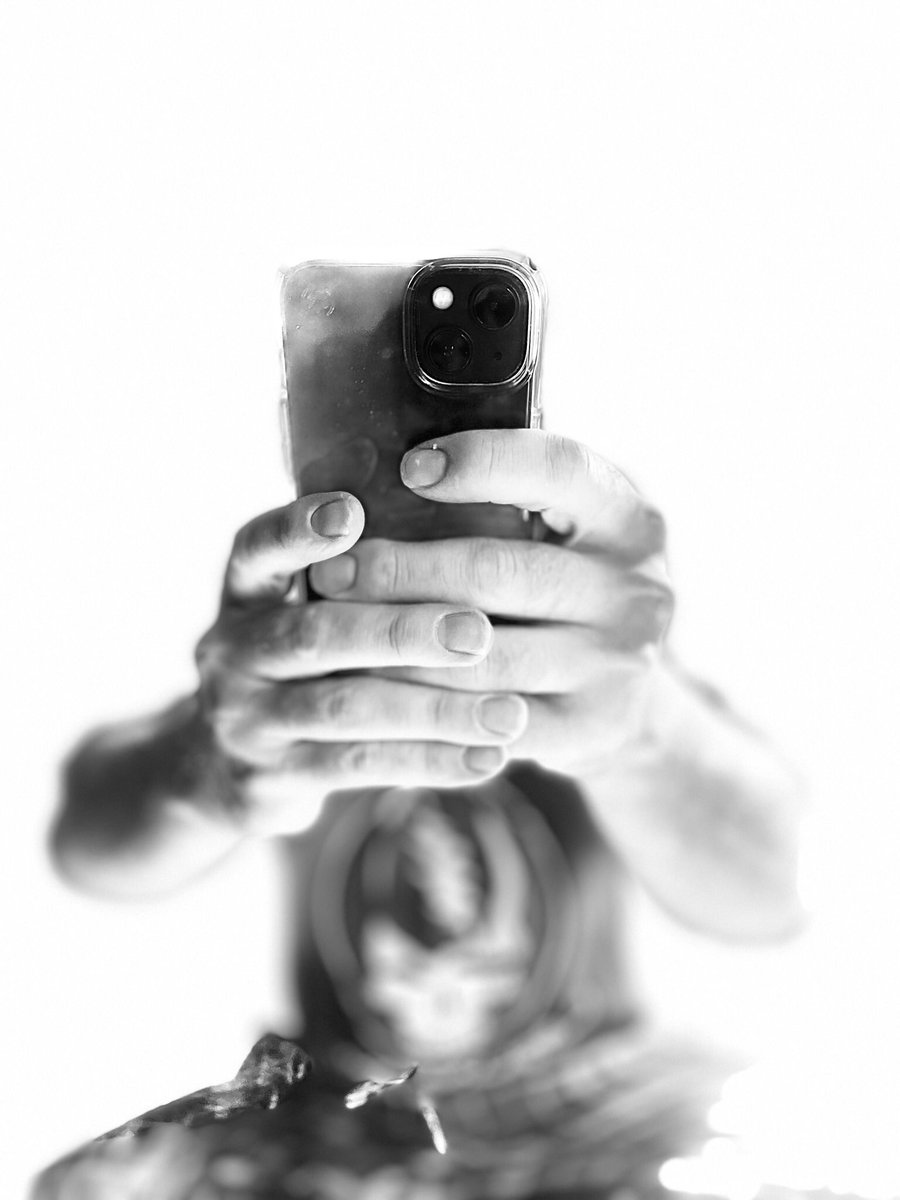 MediaFishFood's tweet image. 