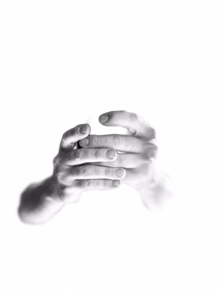 MediaFishFood's tweet image. 