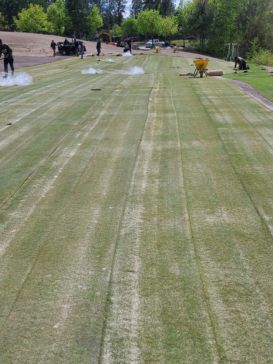 Gary Stadnek tweet media