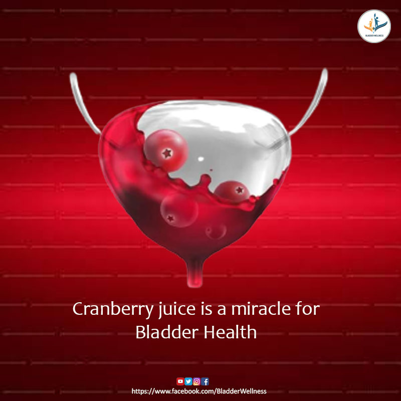 BladderWellnes's tweet photo. Cranberry juice prevents UTIs by keeping you hydrated and washing off the bacteria from your body effectively.
#urineinfection #besturinologistsofindia #bladderhealth #bph #bladderwellness  #urinaryincontinence #urineleaking  #wellbeinglifestyle #bladdertreament https://t.co/b1bjkQ0LmR