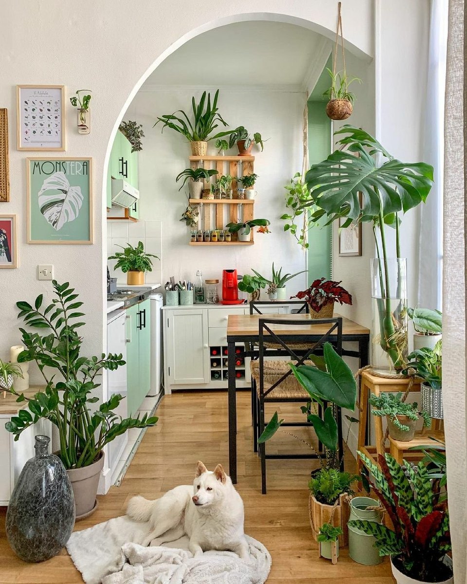 Arch2O_magazine's tweet photo. Kitchen Design For Green Lovers by @home_jim_home [IG] 
⤵️ for more interior designs 
https://t.co/xRSQMlM59K

#Designs #kitchen_Design  #Green_lovers #interior #interior_designs #arch2o #arch2o_magazine https://t.co/LMwSVfgwag