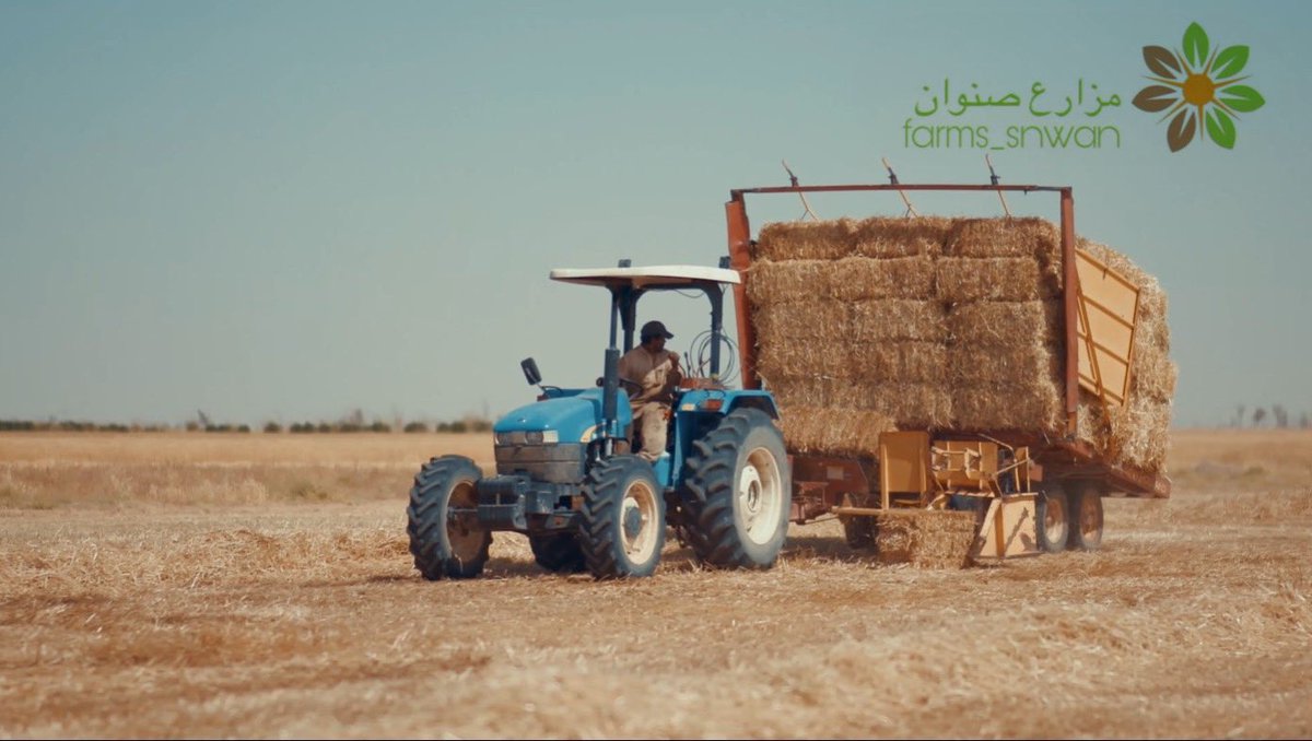 farms_snwan's tweet photo. #مزارع_صنوان 🌱 https://t.co/fzJuuhlEzA