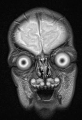 Tim Urban tweet media