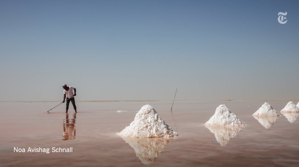 nytimestravel's tweet photo. In December, a photographer set off alone on a 2,600-mile road trip along the Arabian Coast in Oman, traveling from the Yemeni border to the Strait of Hormuz. 

Here’s what she saw: https://t.co/97klKgGnXs https://t.co/ysWOSqozZ0