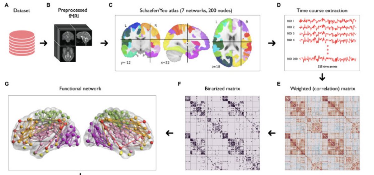 NeuroResource's tweet photo. Interesting graph network changes between #NightOwls and early risers using resting state #fMRI in #Neuroimage https://t.co/sRUs3ieitx