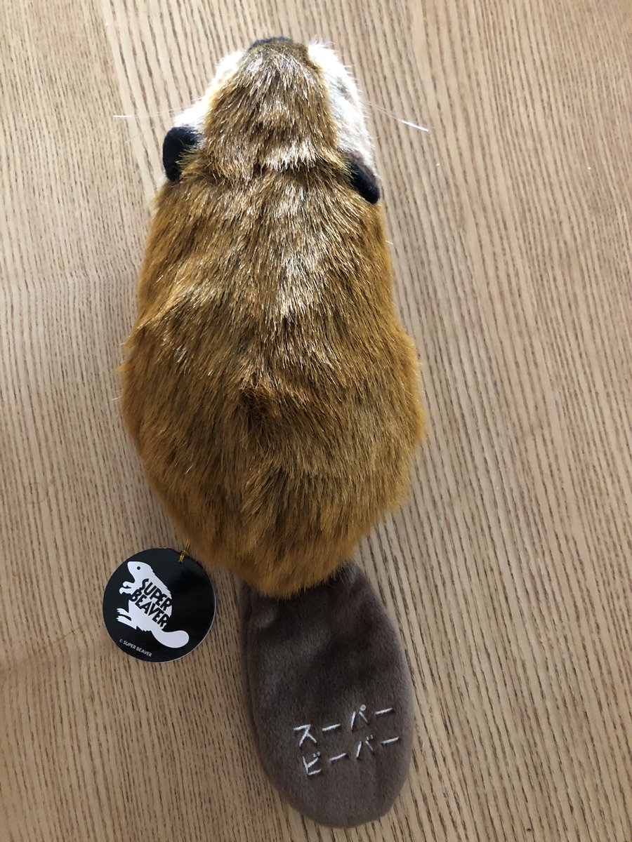 スーパービーバーちゃん